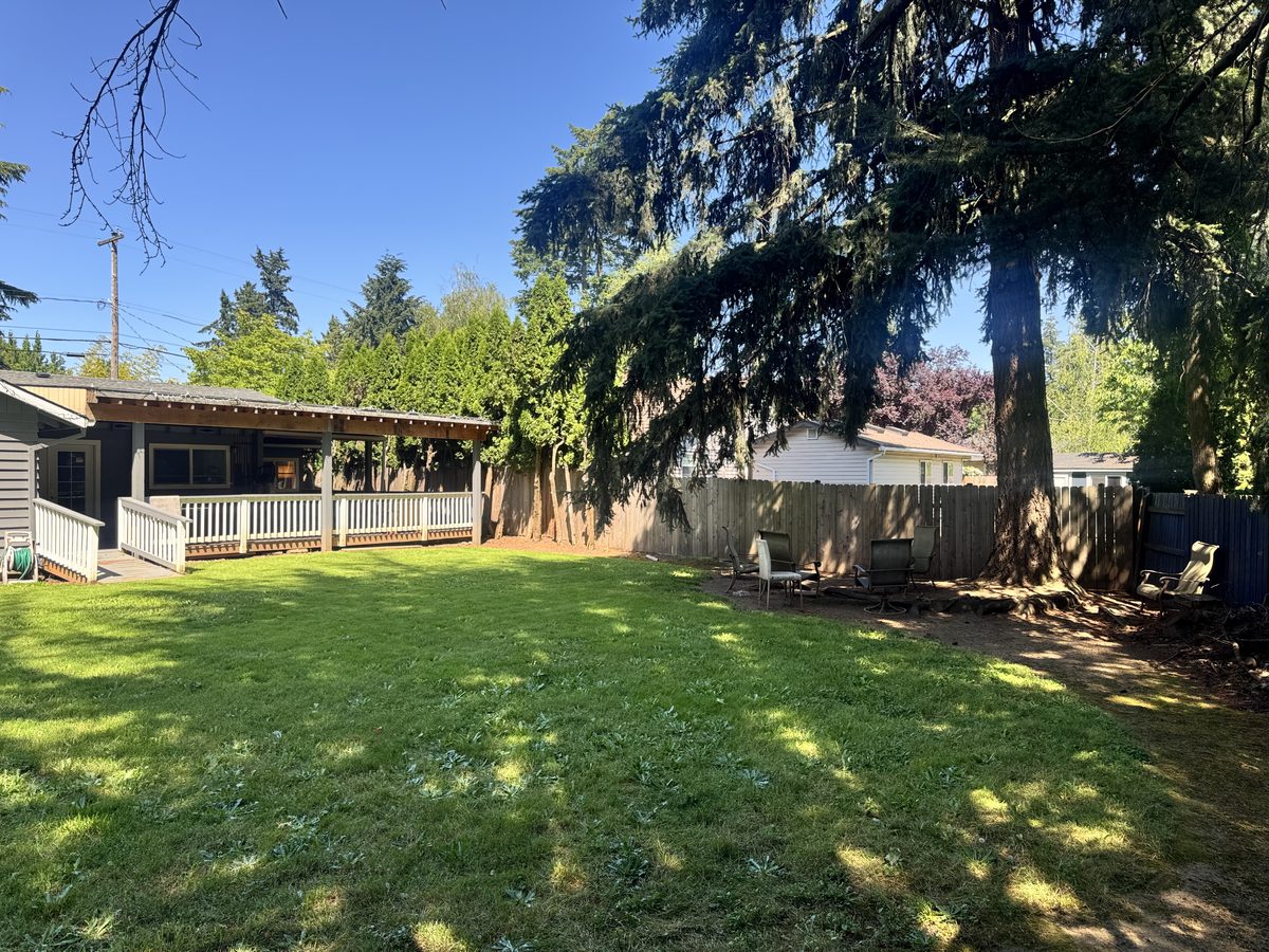 Backyard